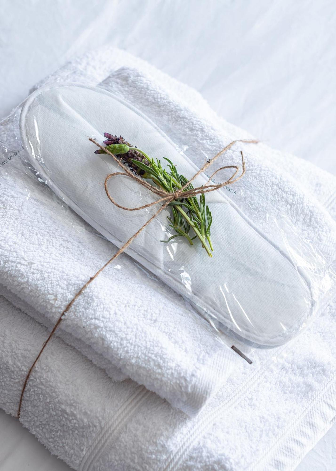 Moss - Beautiful Living In The Heart Of Athens Apartment Bagian luar foto